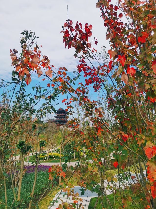 成都一日遊好去處‖成都世界園藝博覽會。