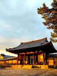 奈良法隆寺。