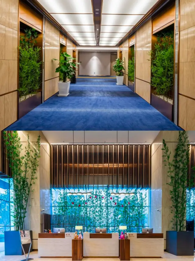A must-stay hotel recommended by my old classmate who came to Changsha. 