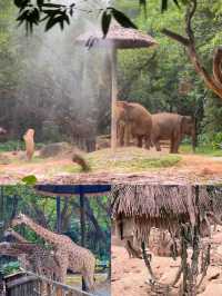 廣州長隆動物園攻略。