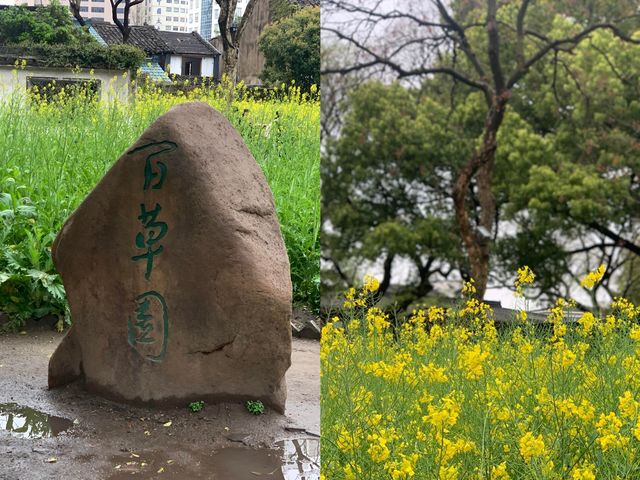 穿越時空，走進魯迅的童年記憶——紹興魯迅故居遊記。
