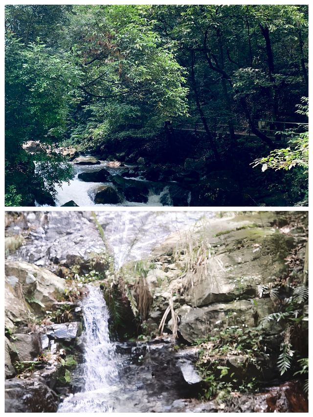 溪源大峽谷景色美不勝收，滿眼都是美景。