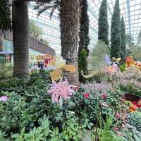Explore the beauty of Flowers Dome of Singapore Garden by the bay