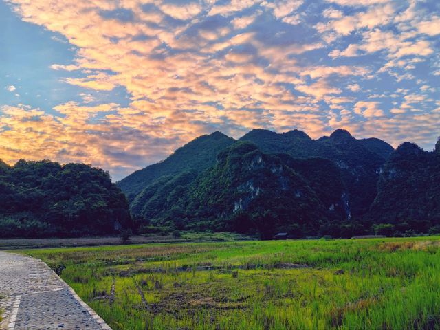 雲南文山壩美|和你共度三生三世十里桃花