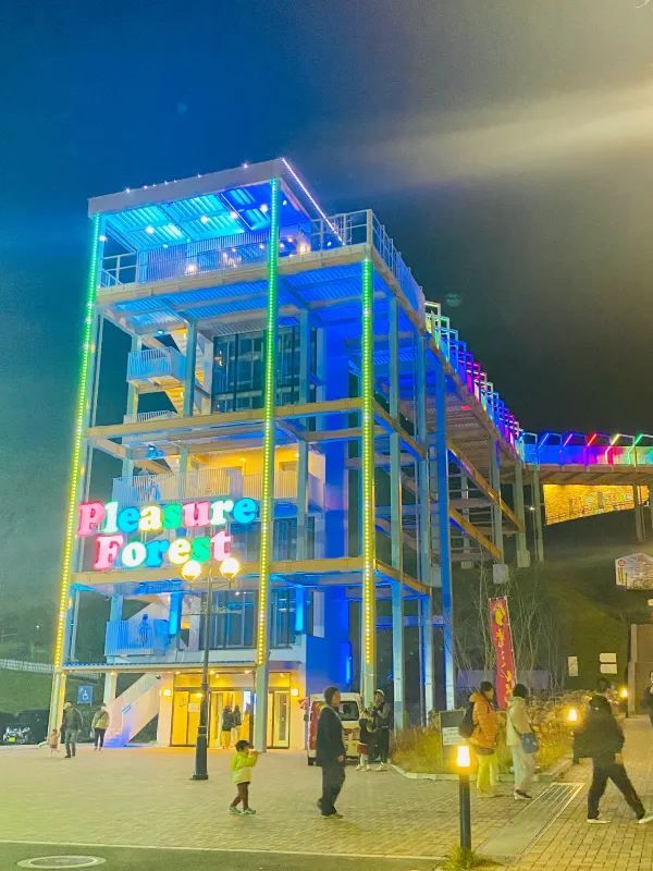 Visited the Sagamiko Light Show!!