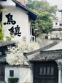 嘉興市旅遊攻略   旅遊必去的景點