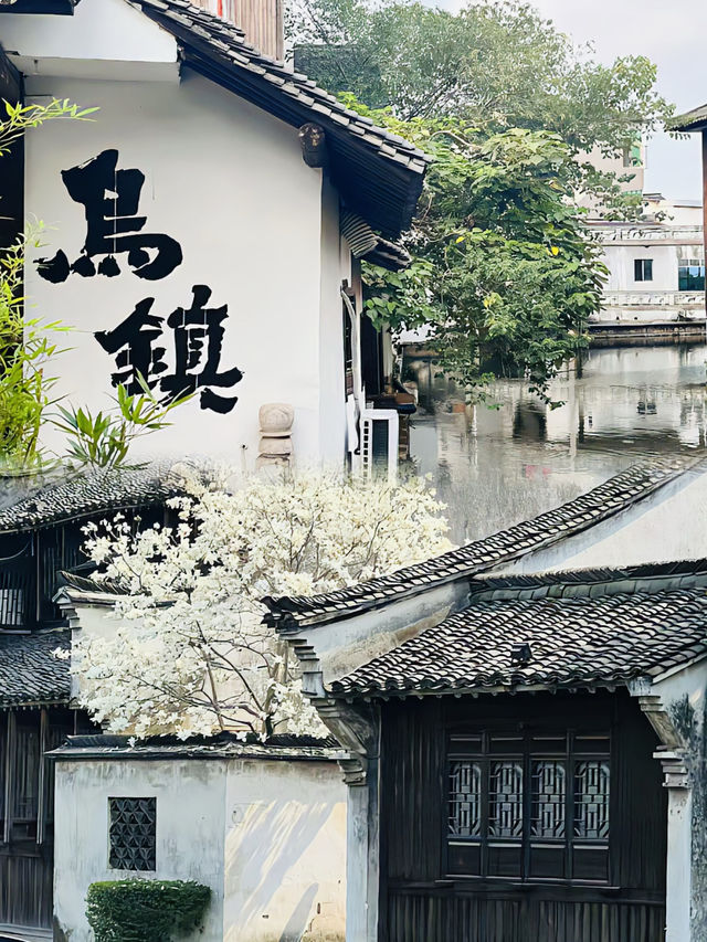 嘉興市旅遊攻略   旅遊必去的景點
