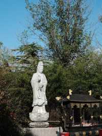 泰州-鹽城4日深度遊 熬夜總結的超全攻略