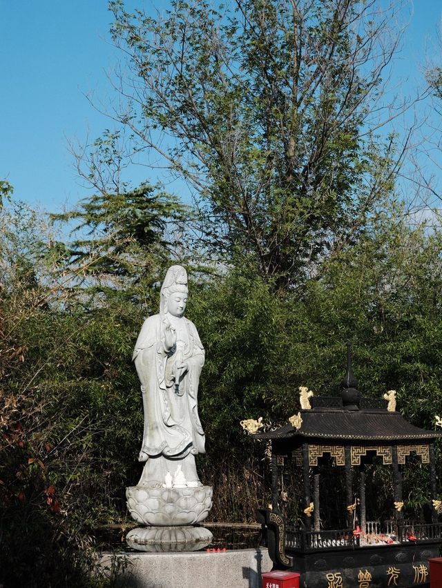 泰州-鹽城4日深度遊 熬夜總結的超全攻略