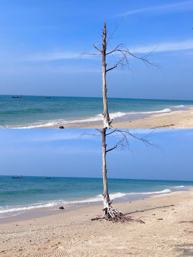 拜託冬季才是涠洲島的正確打開方式