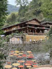 溫州「小婺源」，人生建議看一次曬秋吧