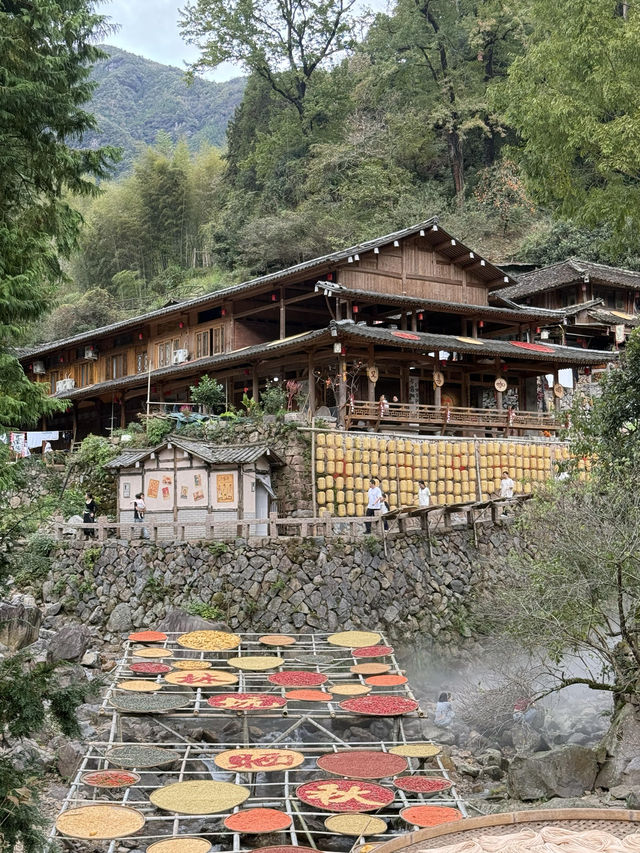 溫州「小婺源」，人生建議看一次曬秋吧