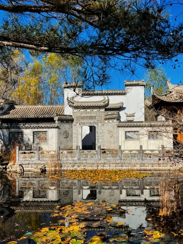 北京這裡僅免費1個月，錯過無