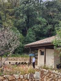 江西上饶｜住到這裡才知道什麼是人生曠野