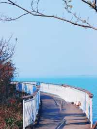 武漢環島遊