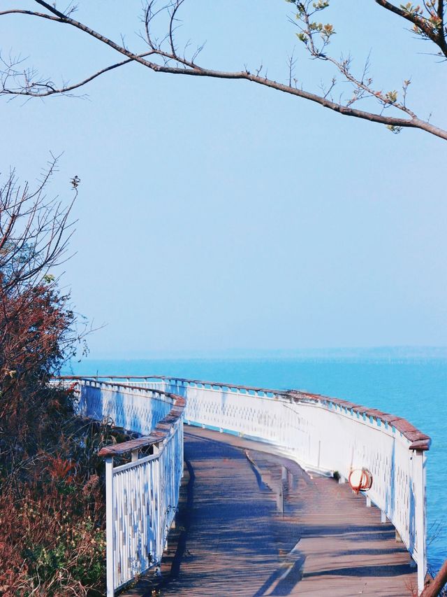 武漢環島遊 武漢環島遊