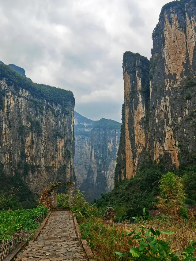 5-Day Yangtze River Cruise to the Three Gorges and Chongqing: A Detailed Guide