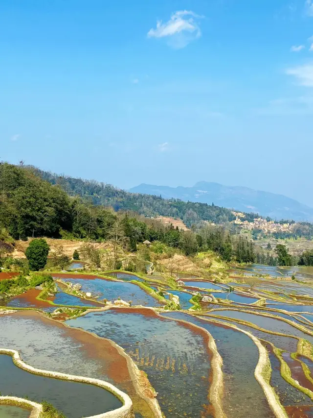 Spring Festival Hot Springs | Yunnan Kunming-Yuanyang Hani Rice Terraces is the Place to Be
