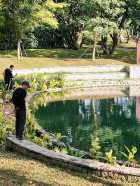 四海公園的浪漫冬日
