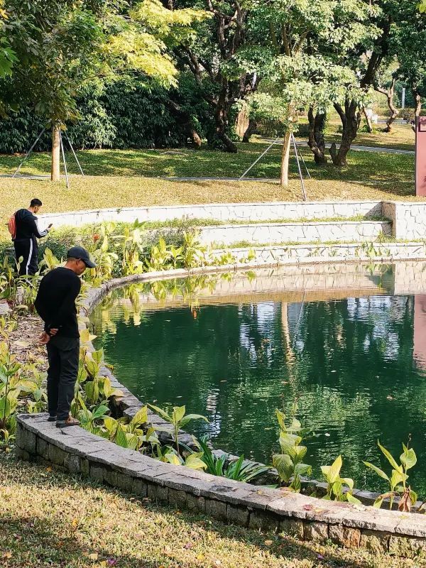 四海公園的浪漫冬日