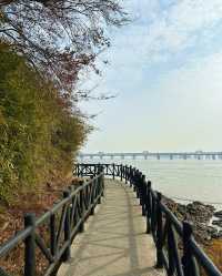 嘉興乍浦九龍山國家森林公園，一場自然與歷史的盛宴