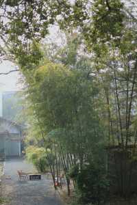 東江湖漫居樹隱秘境民宿沉浸式體驗自然之美