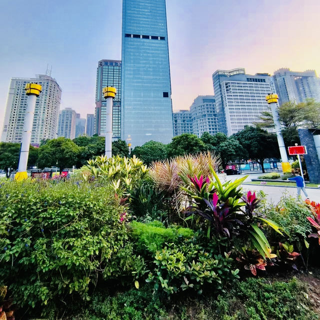 來深圳中心公園逛逛啦