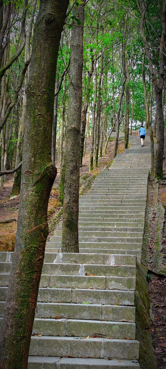 深圳陽台山攻略｜不能被工作耽誤了爬山