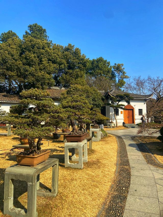 杭州花圃｜西湖邊最寧靜的小眾公園