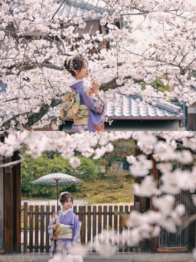 Kyoto Kimono Experience | Avoiding Pitfalls