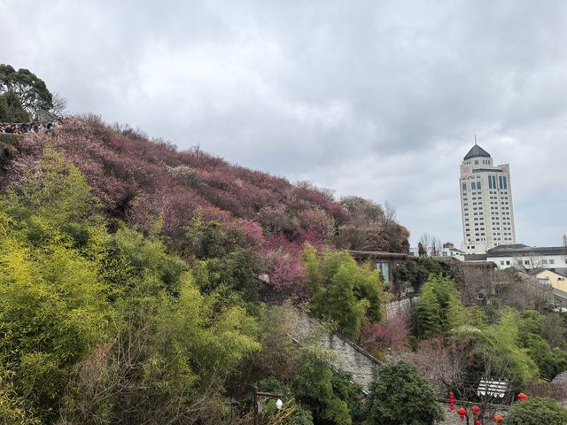 台州府城漫遊日記