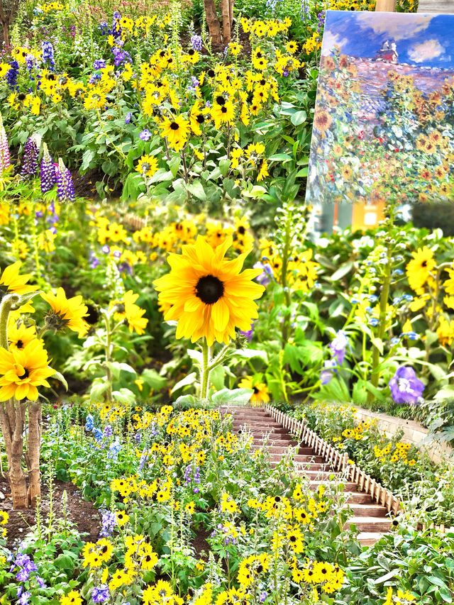 瀋陽植物園｜莫奈花園主題展走進畫裏