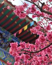 韶關翁源：千年禪宗道場～東華禪寺
