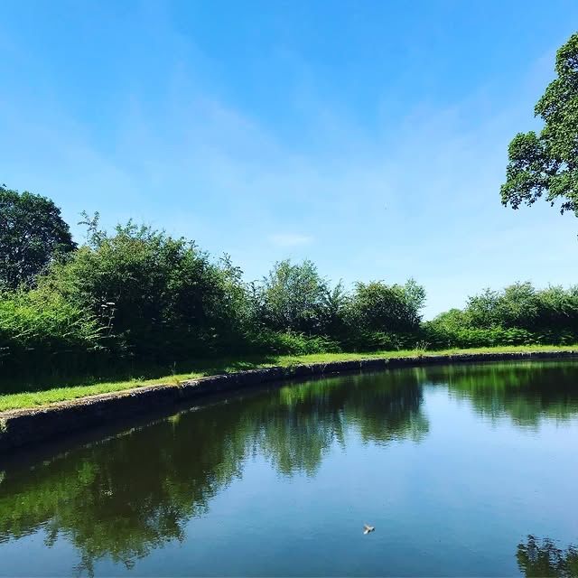 英國麥克爾斯菲爾德柴郡環線——沿河而行的美麗之旅