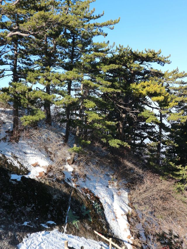 西安兵馬俑-華清宮-華山深度遊 解鎖歷史的千年密碼