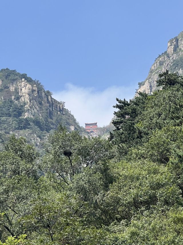 寒假泰安行 2天玩轉美景不踩坑