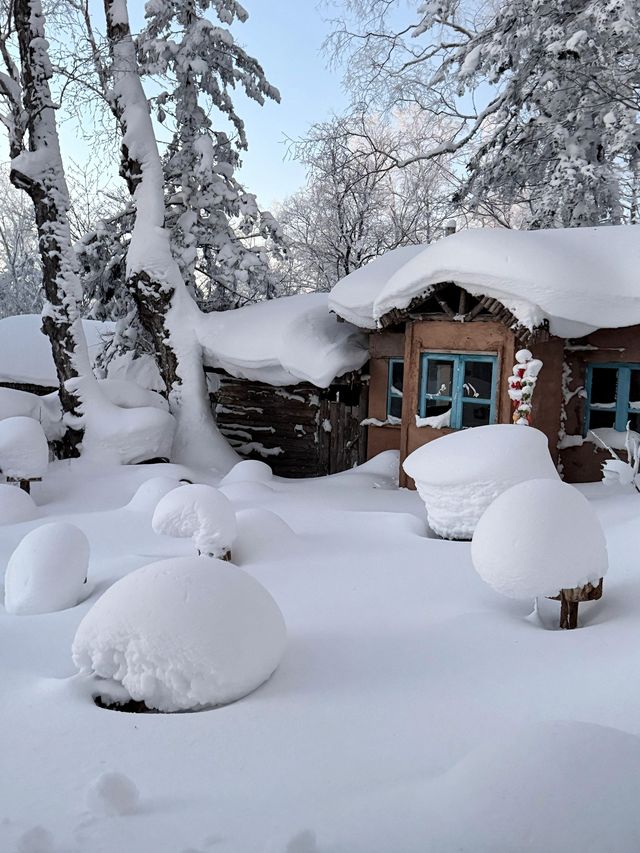 哈爾濱-雪鄉｜5日遊周全攻略 驚艷你的冬日旅行