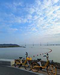 珠海寶藏冷門地 | 二井灣濕地公園美翻啦
