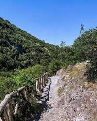 奧林匹斯國家公園：土耳其的自然瑰寶 