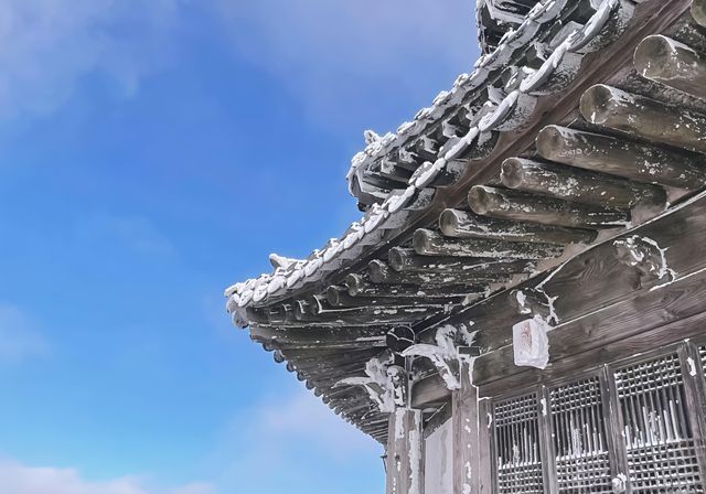 漫步德裕山國立公園｜邂逅韓國絕美自然畫卷