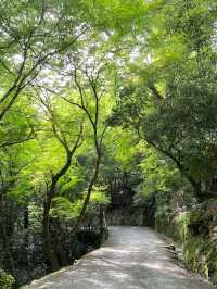 寒假探秘日本古鎮 邂逅歷史的韻味