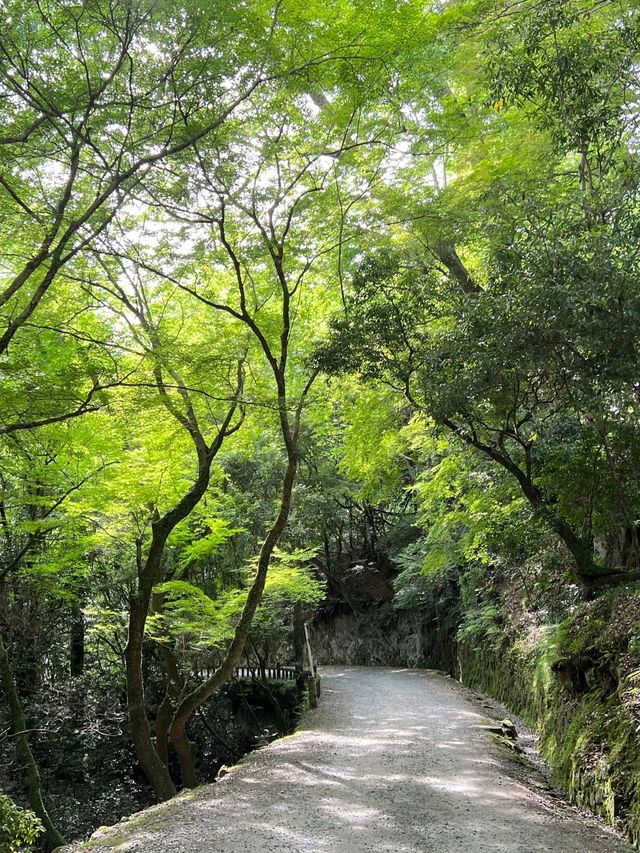 寒假探秘日本古鎮 邂逅歷史的韻味