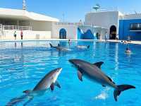鄭州海昌海洋公園：一場奇幻的海洋探險