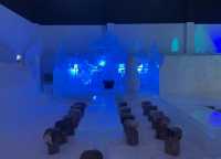 探索冰雪奇緣