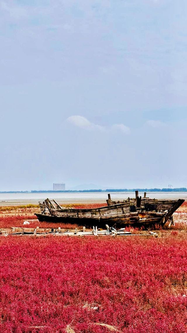 震懾眼球的營口海濱——讓靈魂尖叫的絕美天堂，快來打卡