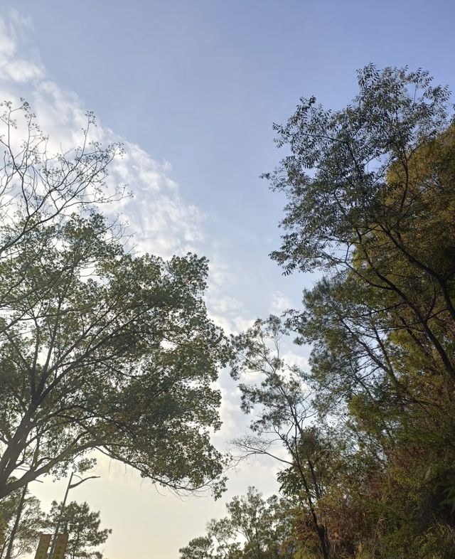 徒步筆架山，每一步都是與自然的深情對話