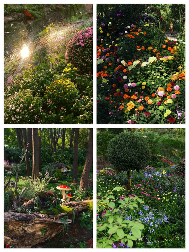 《3月上海莫奈花園，邂逅浪漫春光》
