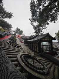 瀘州金龍寺：禪意間的心靈歸途