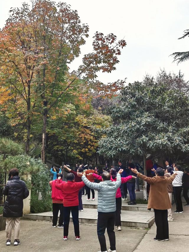 想在西安賞花觀樹？來紡織公園就對了