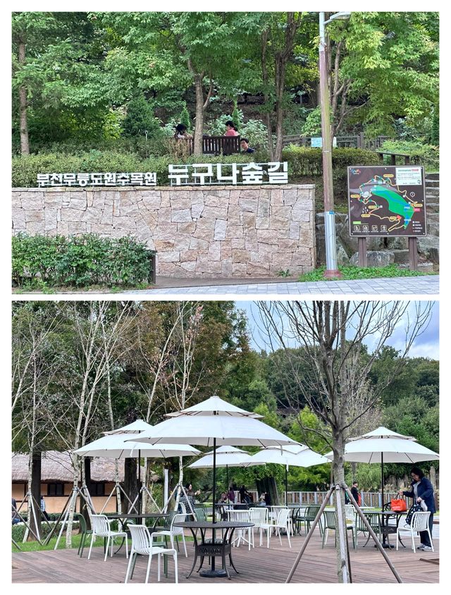 秋天一定要去的韓國富川，美翻了！
